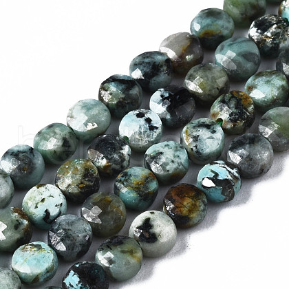 Natural African Turquoise(Jasper) Beads Strands G-T108-66-1