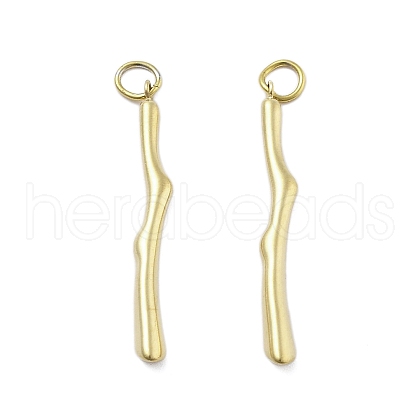 304 Stainless Steel Pendants STAS-D302-10G-1