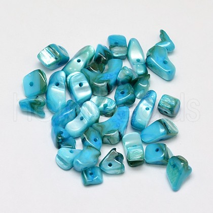 Dyed Natural Freshwater Shell Chips Beads SHEL-O001-12D-1