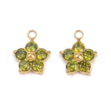 304 Stainless Steel Micro Pave Cubic Zirconia Charms STAS-B088-01G-04-1
