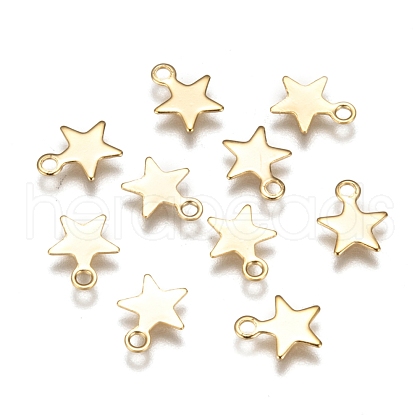 304 Stainless Steel Charms STAS-F159-43G-1