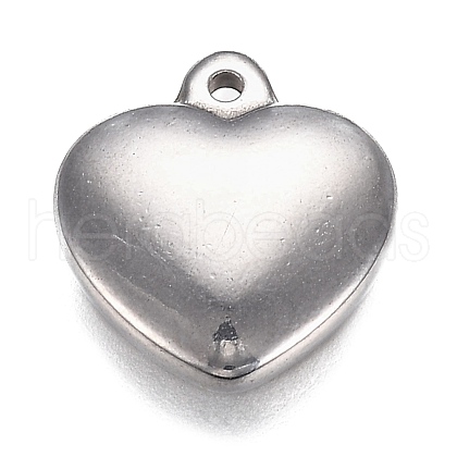 Tarnish Resistant 304 Stainless Steel Charms STAS-I166-13C-1