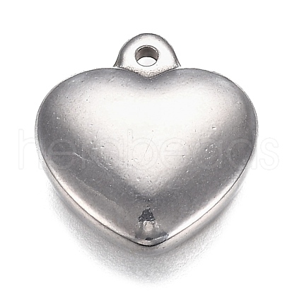 304 Stainless Steel Charms STAS-I166-13C-1