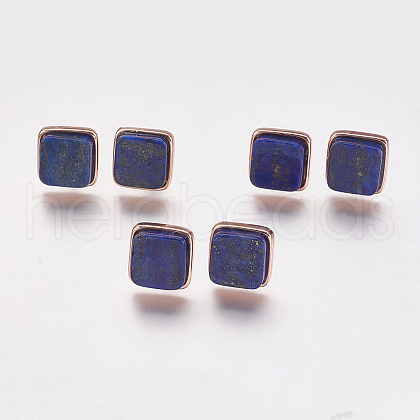 Natural Lapis Lazuli Stud Earrings EJEW-F139-A09-1