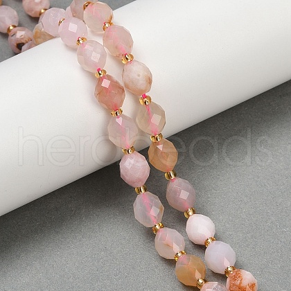 Natural Cherry Blossom Agate Beads Strands G-N342-149D-1