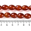 Natural Carnelian Beads Strands G-NH0019-C01-02-5