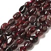 Natural Garnet Beads Strands G-L608-A06-01-1