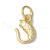 Rack Plating Brass Pendants KK-B092-06G-1