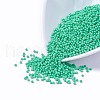 12/0 Grade A Round Glass Seed Beads SEED-Q009-FJX10-1