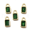 Epoxy Resin Charms KK-Z114-21G-2