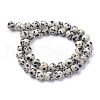 Natural Dalmatian Jasper Bead Strands X-G-R345-6mm-51-2