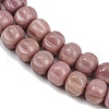 Natural Rhodonite Beads Strands G-Z080-B19-8x6mm-4