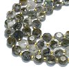 Natural Labradorite Beads Strands G-C116-A94-01-3