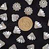 Multi-Petal Flower ABS Plastic Imitation Pearl Bead Caps X-OACR-R016-25-2