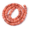 Natural Freshwater Shell Beads Strands X-SHEL-S278-025H-2