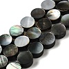 Natural Black Lip Shell Beads Strands BSHE-D300-05-10mm-1