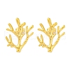 Ion Plating(IP) 304 Stainless Steel Tree Branch Stud Earrings EJEW-D281-08G-1