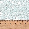 Opaque Colours Luster Glass Seed Beads X1-SEED-B001-01A-02-4