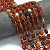 Natural Agate(Dyed & Heated) Beads Strands G-C116-A149-01-1