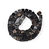 Natural Biotite Beads Strands G-T140-39A-2