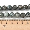 Natural Dioptase Beads Strands G-D302-02-10mm-5