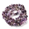 Natural Lepidolite/Purple Mica Stone Beads Strands G-Z081-A01-3