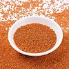 MIYUKI Round Rocailles Beads SEED-G007-RR0009-2