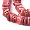 Freshwater Shell Beads Strands BSHE-O017-10-3