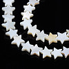 Natural Freshwater Shell Beads Strands X-SHEL-S278-01B-01-3