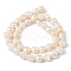 Natural Cultured Freshwater Pearl Beads Strands PEAR-P064-19K-03B-3