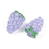 Handmade Lampwork Enamel Beads LAMP-U004-07G-2