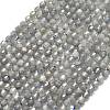 Natural Labradorite Beads Strands G-A260-A44-01A-2