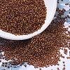 MIYUKI Round Rocailles Beads SEED-G007-RR0005-4