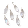 Transparent Glass Pendant PALLOY-JF02259-1