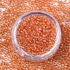 Glass Seed Beads SEED-S042-11A-03-2