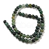 Natural Moss Agate Round Beads Strands G-S151-6mm-5