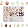 SUPERFINDINGS Natural Shell & Conch Decorations SHEL-FH0001-20-1