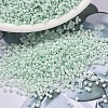MIYUKI Delica Beads SEED-JP0008-DB1506-1