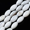 Natural Freshwater Shell Beads Strands SHEL-Q024-021-1