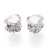 Alloy Glass European Beads FIND-N009-13P-2