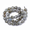 Natural Labradorite Beads Strands G-T064-50-2