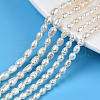 Natural Cultured Freshwater Pearl Beads Strands X1-PEAR-N012-03D-1