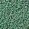 TOHO Round Seed Beads X-SEED-TR08-PF0561-2