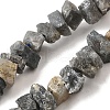Natural Labradorite Beads Strands G-I283-F14-2
