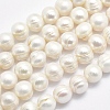 Natural Cultured Freshwater Pearl Beads Strands PEAR-F007-01-1