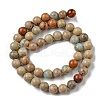 Natural Aqua Terra Jasper Beads Strands G-E444-14B-12mm-2