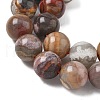Natural Mexican Lace Agate Beads Strands G-E578-02C-01-3