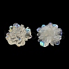 Transparent Resin Cabochons RESI-E049-01-2