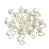 Transparent Glass Charms GLAA-P070-A07-2