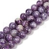 Natural Lepidolite Beads Strands G-U026-A06-10mm-2